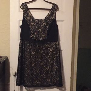 Paper Doll black and nude lace dress 20